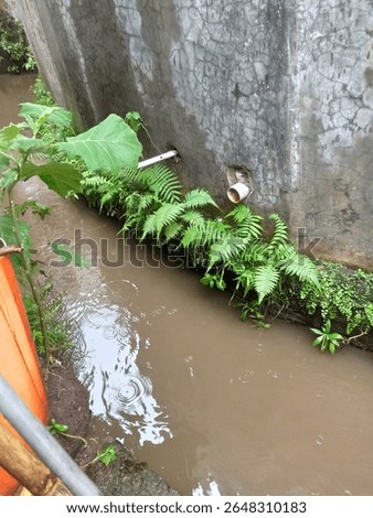 The water pipe visible from inside the wall with sewer water flowing down it is brown

