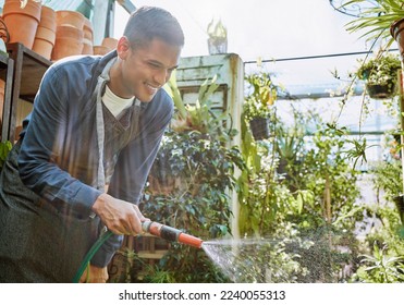 Water, plant gardening and man in greenhouse small business, shop or outdoor store smile for growth success. Happy young worker in agriculture or floral industry in garden for spring plants sale - Powered by Shutterstock