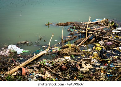 Water Pollution 