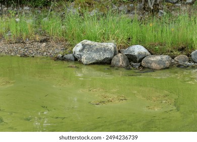 Contaminación del agua por