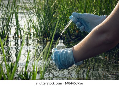 Water pollution concept. Woman scientist takes a water sample from polluted pond. - Powered by Shutterstock