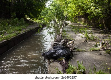 Water Pollution. Garbage On The Banks Of The Urban Stream.