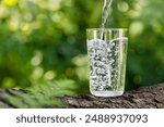 water pouring into glass on log with fern leaf