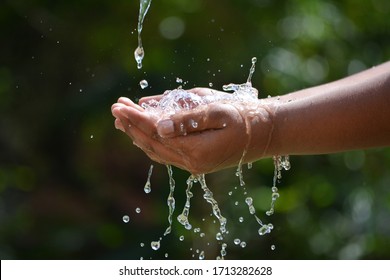 Water Pouring In Kid Two Hand On Nature Background. Hands With Water Splash.