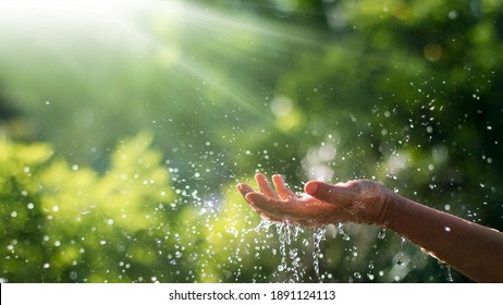 Water pouring and splash in woman hand on nature background, earth day, environment issues  - Powered by Shutterstock