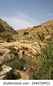 Water In The Prat Brook, On The Edge Of The Judea Desert, Israel, At Spring Time.