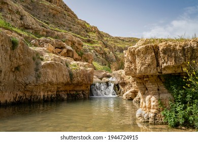 Water In The Prat Brook, On The Edge Of The Judea Desert, Israel, At Spring Time.