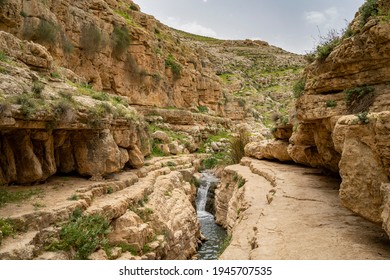 Water In The Prat Brook, On The Edge Of The Judea Desert, Israel, At Spring Time.