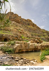 Water In The Prat Brook, On The Edge Of The Judea Desert, Israel, At Spring Time.