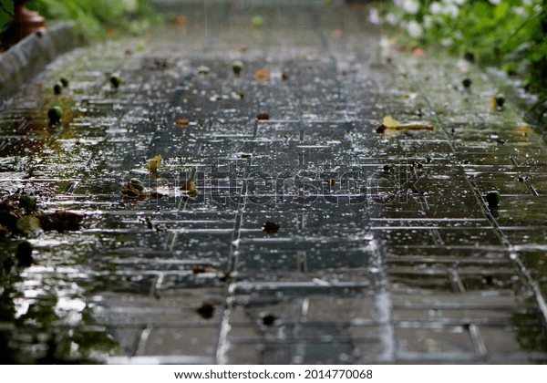 water\
puddle on the sidewalk. autumn weather, rainy day. dry leaves on\
wet asphalt. there is a light rain. reflexes, drops of water.\
shallow depth of field, soft selective\
focus.