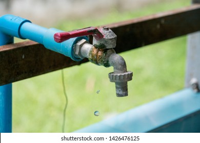 Water Pvc Pipe Water Permeability Causing Stock Photo (Edit Now) 1426476125