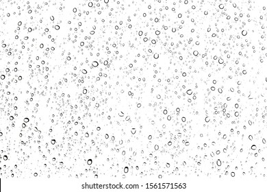 Water Rain Drops Or Water Drops On White Background, Water Bubbles Underwater Background, Water Drops On Glass