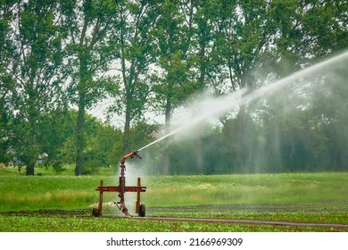 Water Reclamation Cannon Seeks Out Water In Field With Young Green Seedlings.