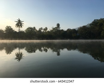Water reflection. 