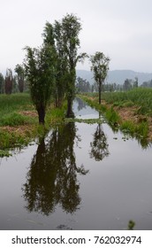 Water Reflection In Symetry