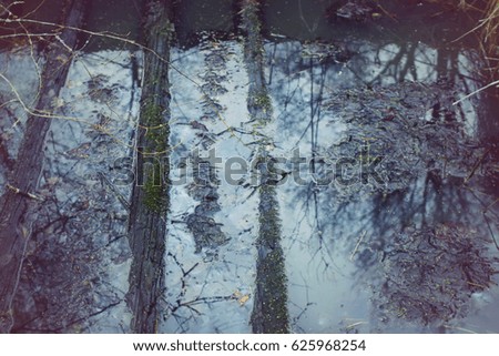 Similar – Mirrored Tree Reflection