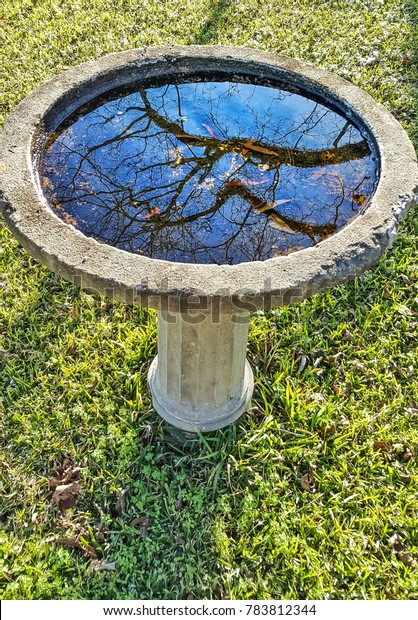 Water Reflections On Water Bird Bath Stock Photo Edit Now 783812344