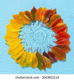 Water ripple and fall colorful leaves wreath  Trendy blue background and splash  Copy space  Top view