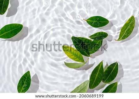 Water ripple with green leaves. Trendy white background for cosmetic product presentation. Artistic concept. Copy space 