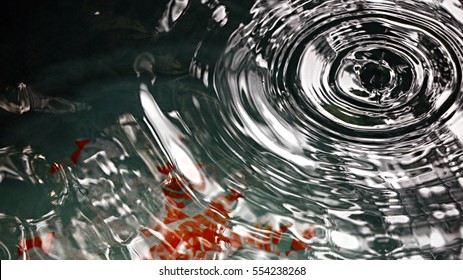 Water Ripples