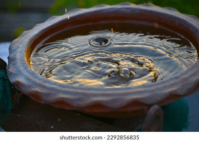 Water ripples in pot kept for birds - Powered by Shutterstock