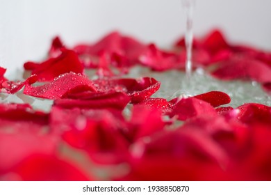 Water running filling up bathtub filled with red rose petals - Powered by Shutterstock