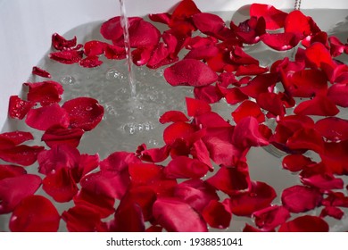 Water Running Filling Up Bathtub Filled With Red Rose Petals