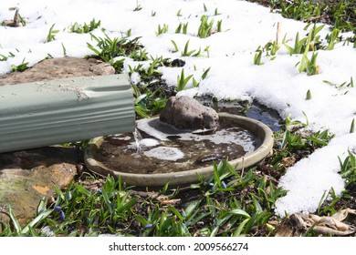 Water Running Out Of Downspout Into Ceramic Dish With Snow And Plants