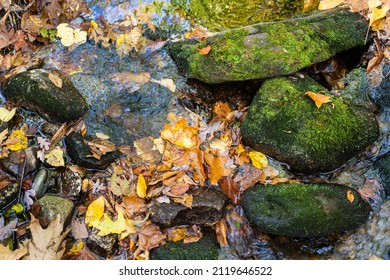 Water Running Through A Quiet Brook In Western Connecticut In The Fall.