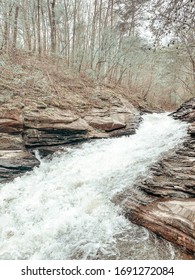 Water Running Through Rocks And Trees