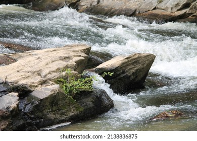 Water Running Through A Stream Over Rocks.