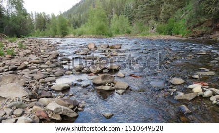 Water rushes through a rocky creek in the Delores, Colorado mountains. The rocky shore on the horizon stretches to the Colorado mountain pine trees.