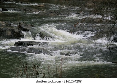 Water Rushing Along Rocky Stream Bed