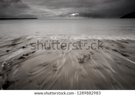 Image, Stock Photo roaming the beach 2 Nature