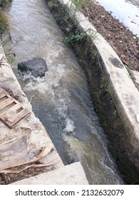 Water Rushing In Thr Rice Field Ditch