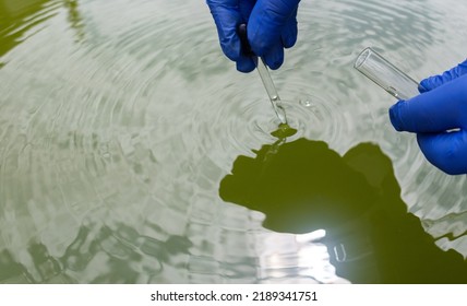 Water sample. Checking the condition of rivers or natural lakes. Water test for chemicals, bacteria, harmful substances, radiation. Collection of material in a test tube for further research.