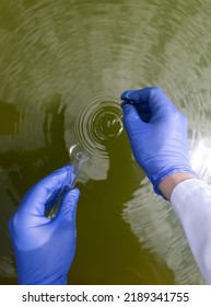 Water Sample Checking Condition Rivers Natural Stock Photo 2189341755 ...