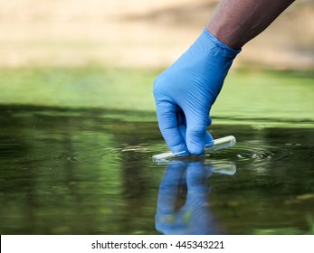 Water Sample. Hand In Glove Collects Water In A Test Tube. Concept - Water Purity Analysis, Environment, Ecology. Water Testing For Infections, Permission To Swim