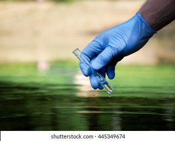 Water sample. Hand in glove collects water in a test tube. Concept - water purity analysis, environment, ecology. Water testing for infections, permission to swim