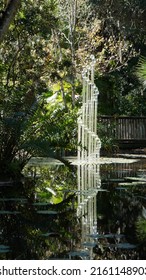 Water Sculpture At Botanical Garden