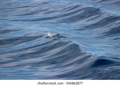 Water, sea abstract background