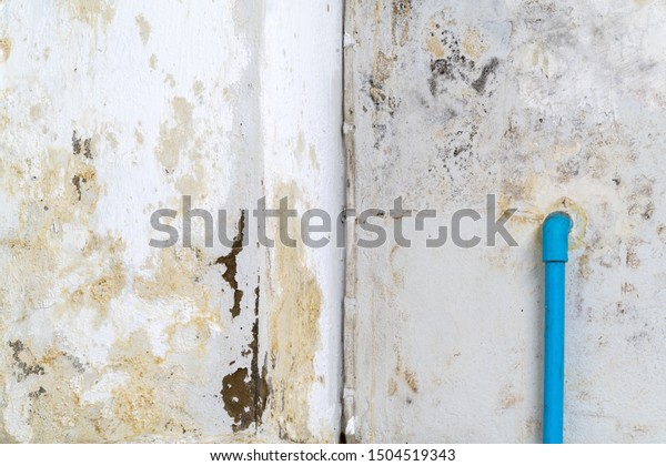 Water Seepage Basement Leaks Water Damage Stock Photo Edit Now