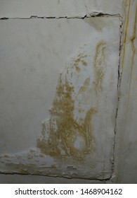 Water Seepage Wall Due Leakage Defective Stock Photo 1468904162 ...