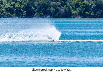 Water Skiing On Tauranga Harbour.