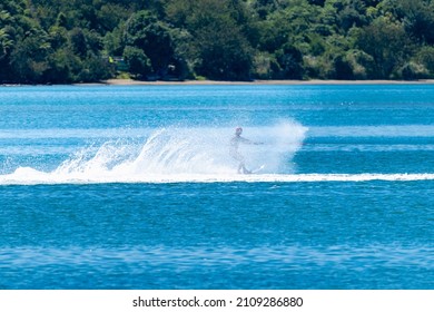 Water Skiing On Tauranga Harbour.