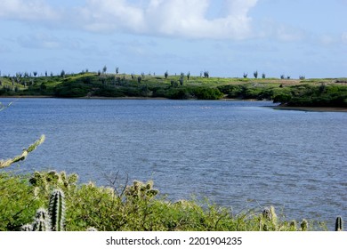 Water Sky Plant Cloud Ecoregion Natural Landscape