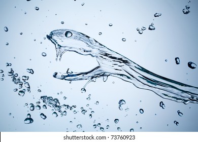 Water Snake Splash.