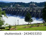 Water spills through the turbines of the  Bonneville Dam on the Columbia River in  Oregon