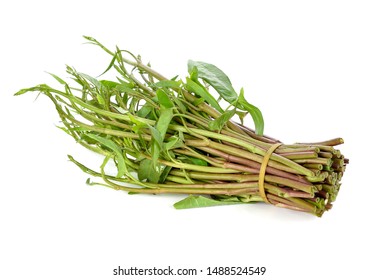 Water spinach , Morning Glory on white background - Shutterstock ID 1488524549