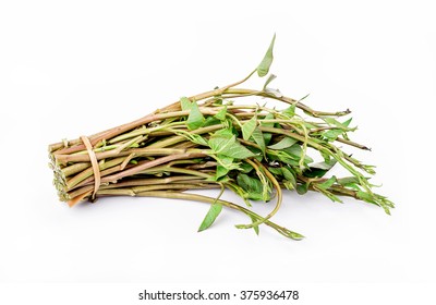 Water spinach , Morning Glory on white background - Shutterstock ID 375936478